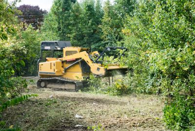 Experienced Land Clearing Teams