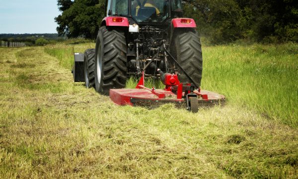 Cost of Brush Clearing Service in College Station