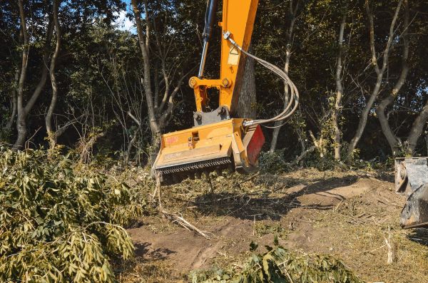Cost of Brush Removal Service in College Station