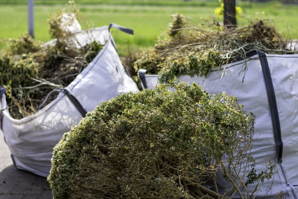 Cost of Bushes Clearing in College Station