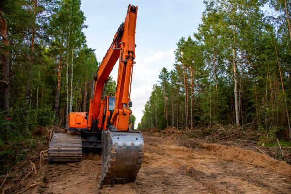 Cost of Backhoe Land Clearing in College Station
