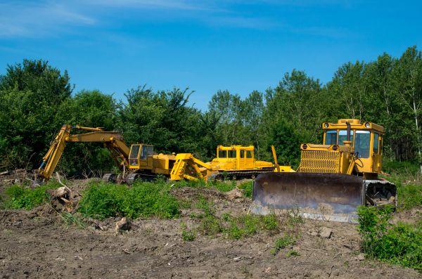 Cost of Bulldozer Clearing in College Station