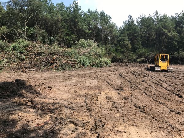 Cost of Thicket Clearing in College Station