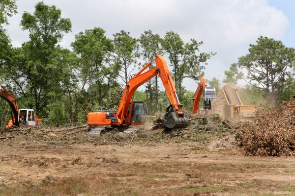 Cost of Commercial Lot Clearing in College Station