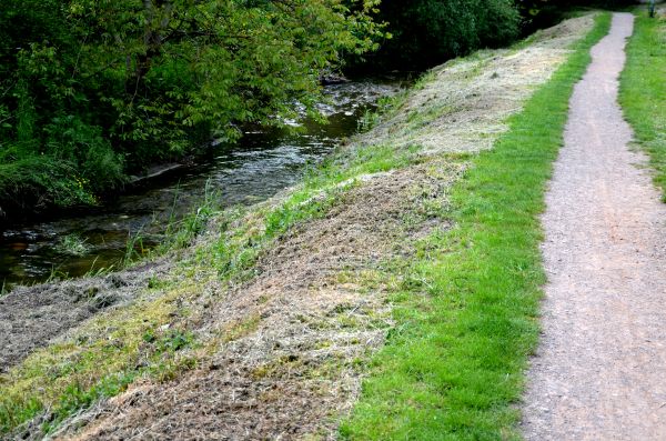 Cost of Trail Cutting in College Station